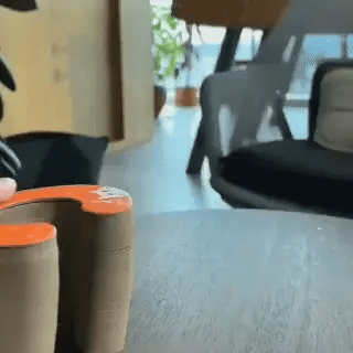 🐾CocoGato™ – Rascador Interactivo 360° para Gatos