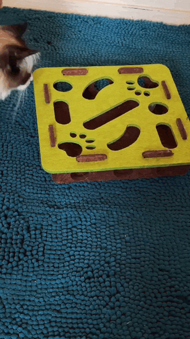 🎯HuntBox® – Caja interactiva de caza