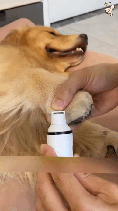 🐾NailCare Pro™ – Lima eléctrica segura para perros y gatos