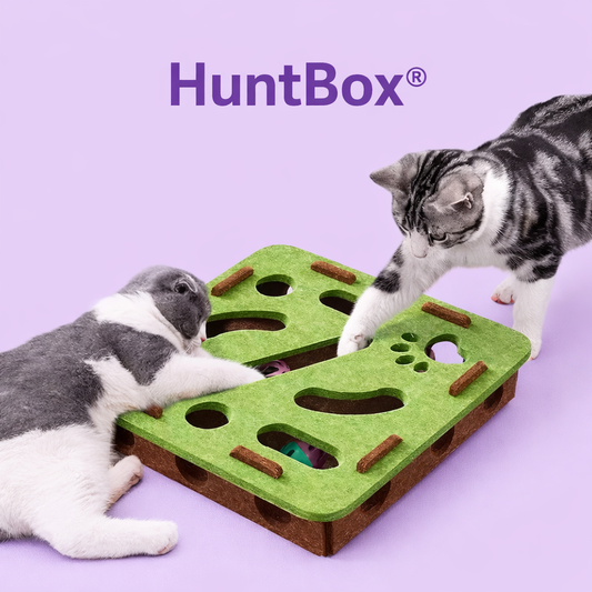 🎯HuntBox® – Caja interactiva de caza