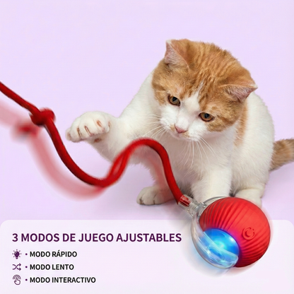 CatRoller Smart® - Diversión inteligente sin límites