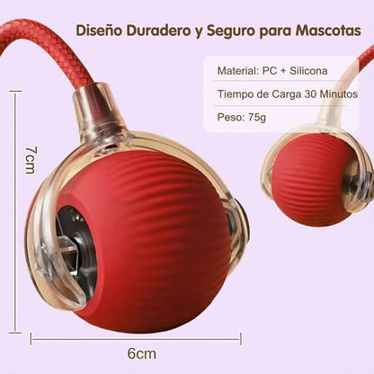 CatRoller Smart® - Diversión inteligente sin límites