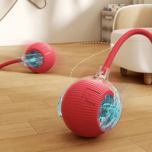 🪀ChaseBall® – Juguete interactivo para perros y gatos