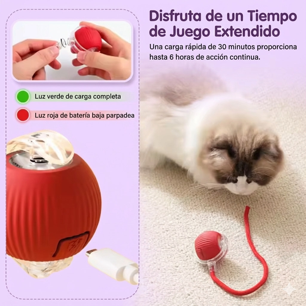 CatRoller Smart® - Diversión inteligente sin límites