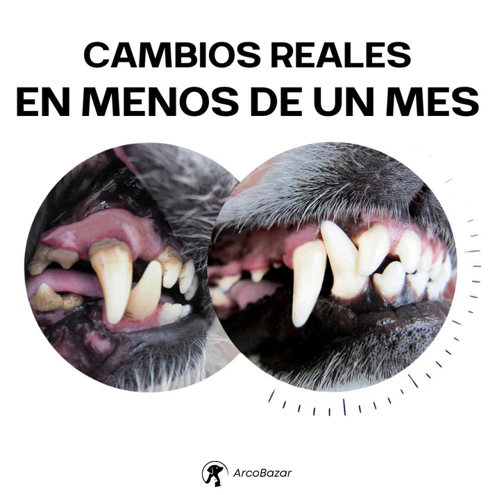 🦷 DentiCool™ – Cuidado dental y bienestar diario para tu perro