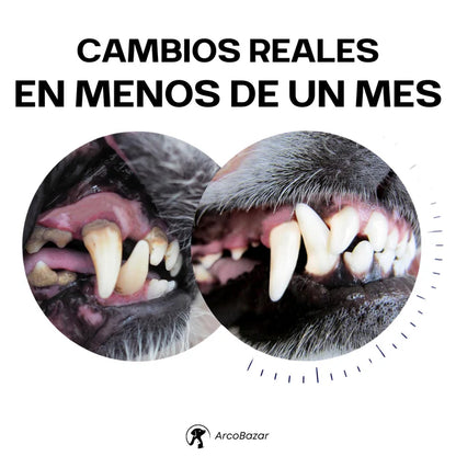 🦷 DentiCool™ – Cuidado dental y bienestar diario para tu perro