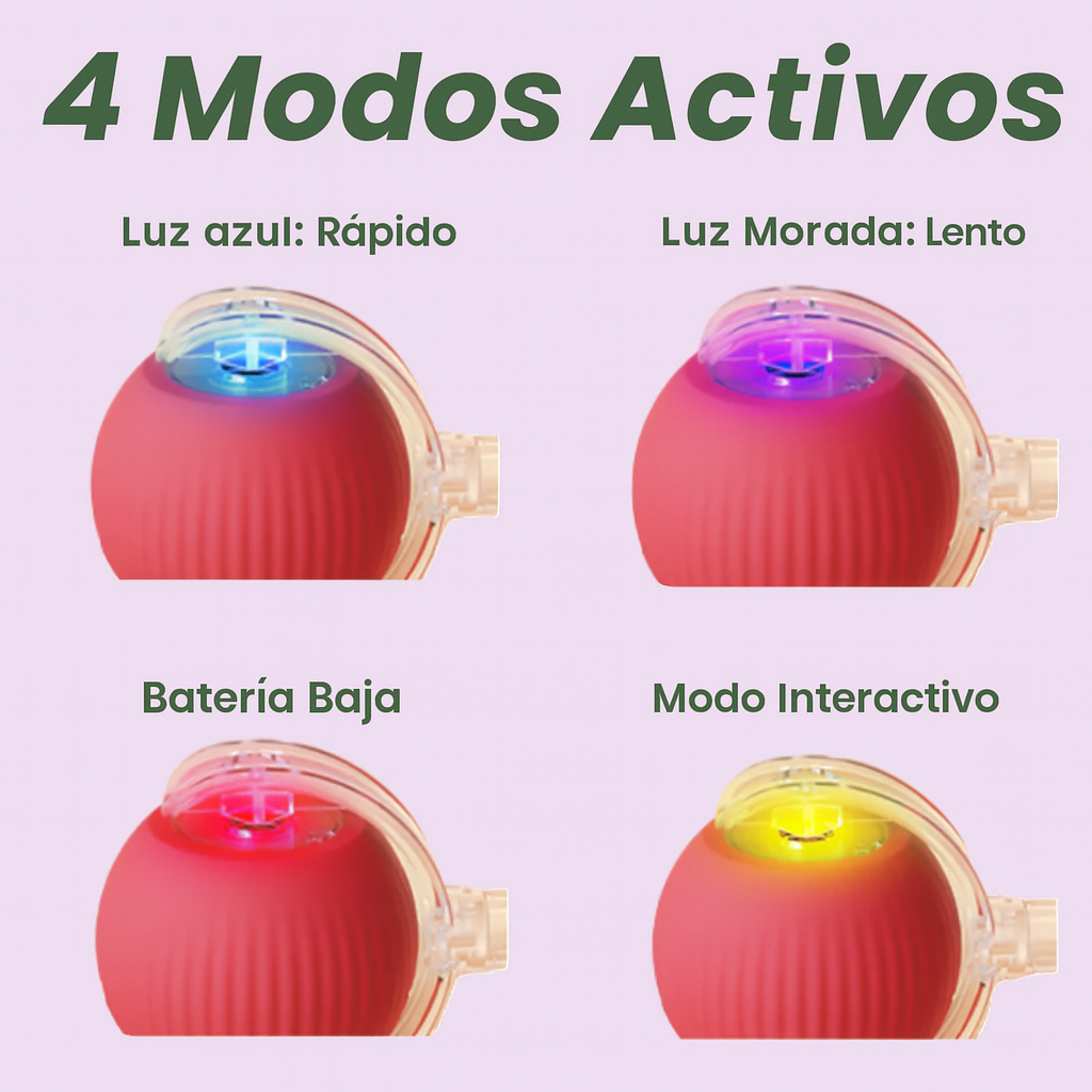 CatRoller Smart® - Diversión inteligente sin límites