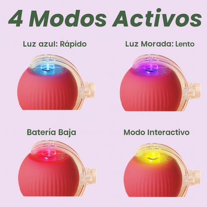 CatRoller Smart® - Diversión inteligente sin límites