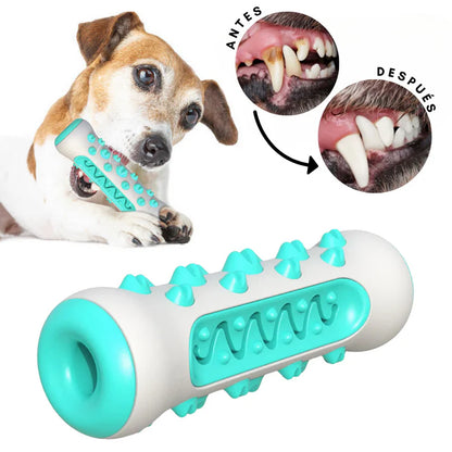 🦷 DentiCool™ – Cuidado dental y bienestar diario para tu perro