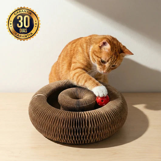 🐾CocoGato™ – Rascador Interactivo 360° para Gatos
