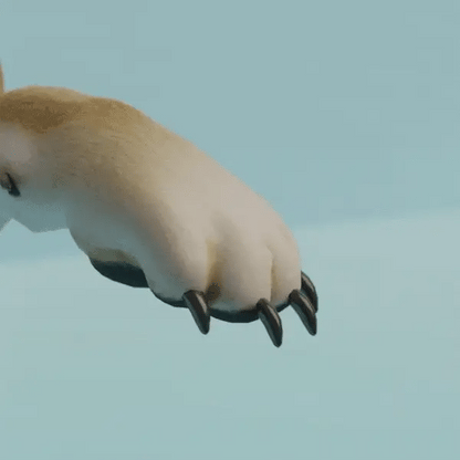 🐾NailCare Pro™ – Lima eléctrica segura para perros y gatos